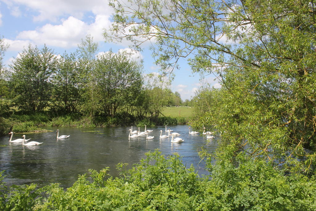 The Swan At Stoford Hotel Stapleford  Bagian luar foto